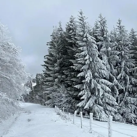 Holiday home Maison De Charme A Avec Vue Montagne Ferrieres-Saint-Mary
